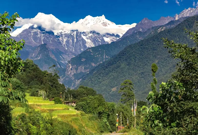 Dzongu