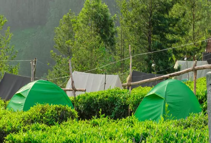 Camping in ooty
