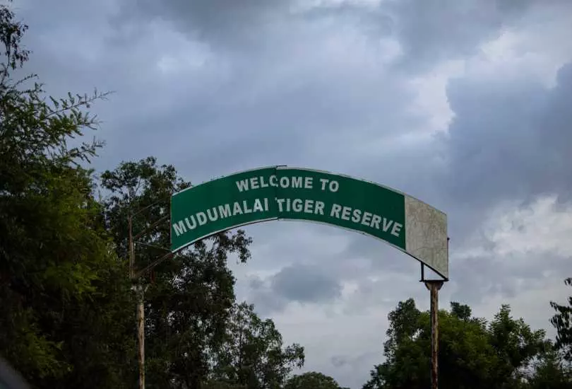 Mudumalai National Park