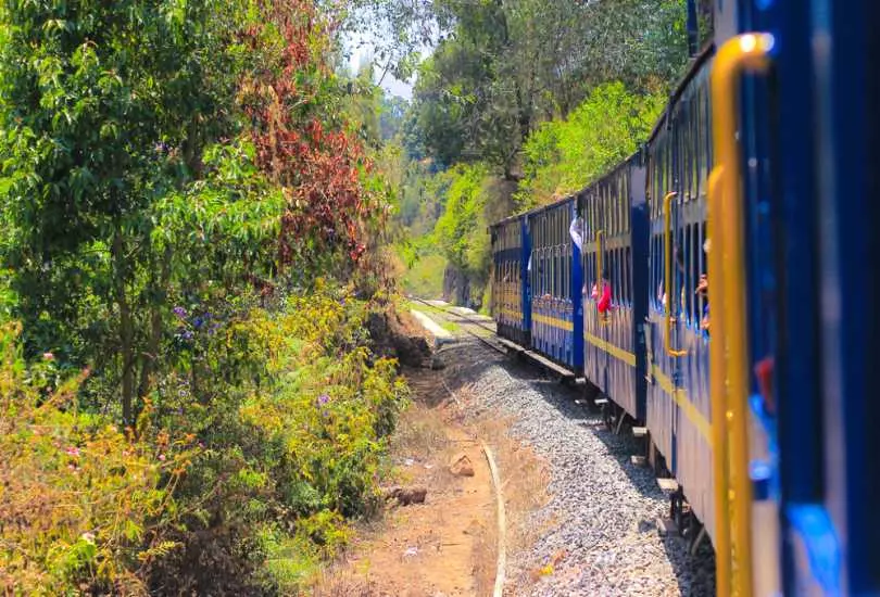 Nilgiri Mountain Toy Train