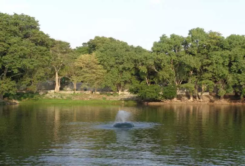 Bannerghatta National Park