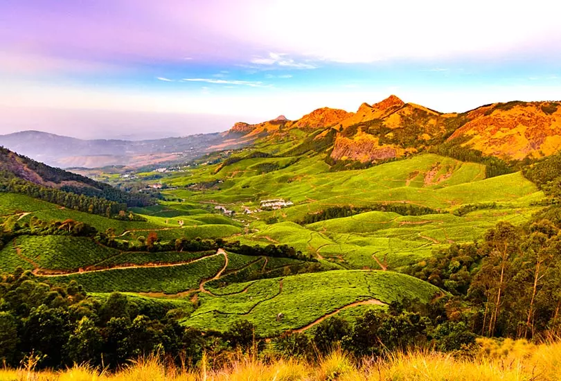 Munnar, Kеrala