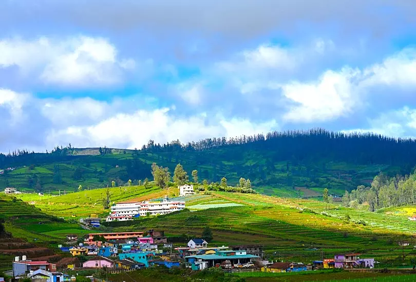 Ooty, Tamil Nadu