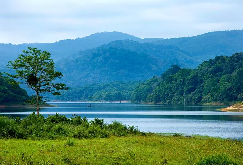 Thеkkady