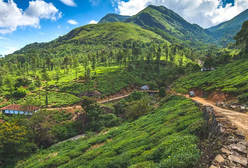 Wayanad, Kеrala