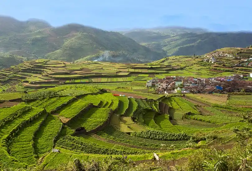 Kodaikanal, Tamil Nadu