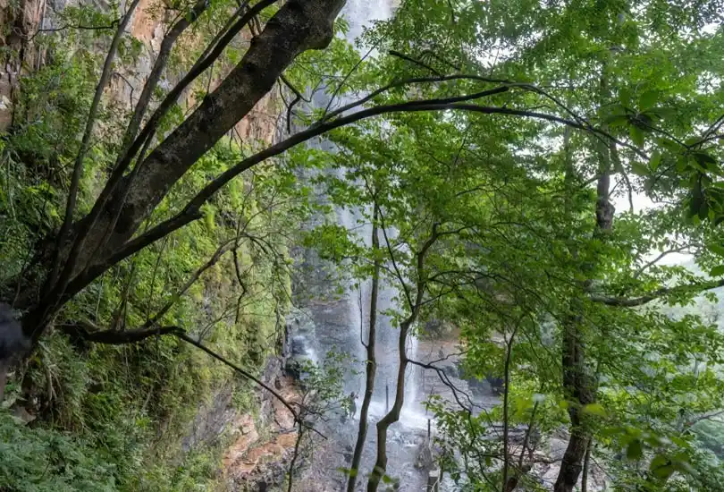 Talakona Falls