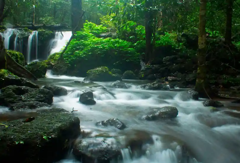 Agumbe, Karnataka