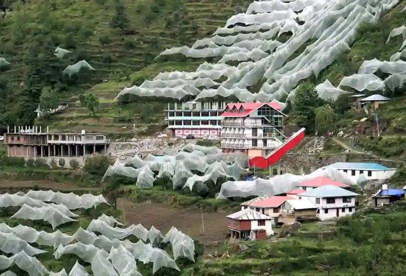 Kufri, Himachal Pradesh