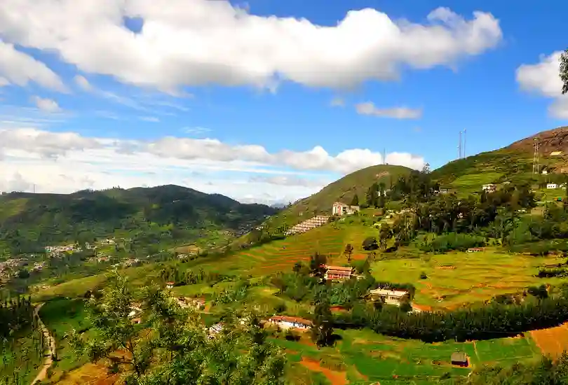 Ooty, Tamil Nadu