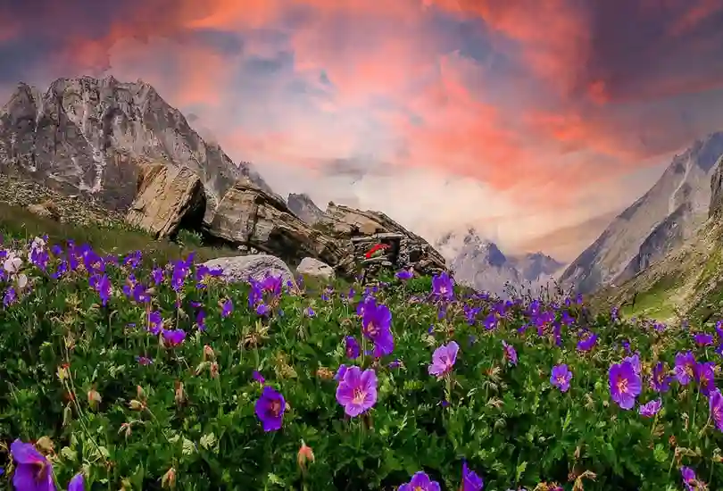 Valley of Flowers, Uttarakhand