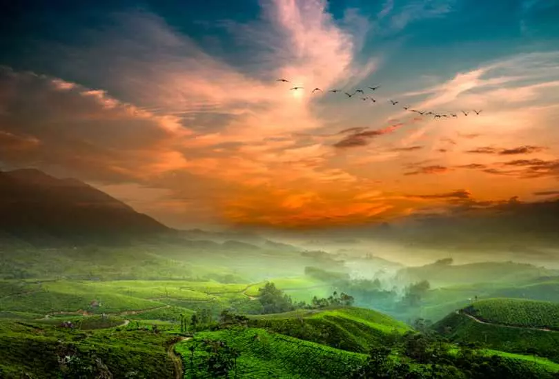 Munnar