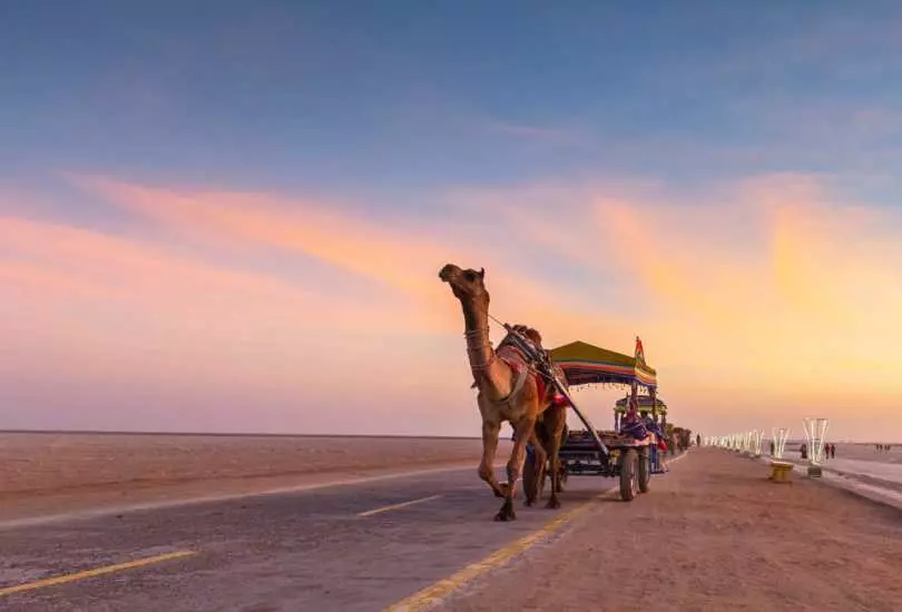 Rann Of Kutch