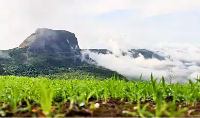 maval near pune