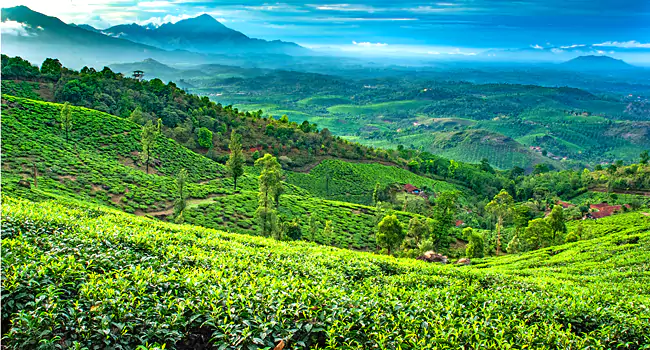 wayanad