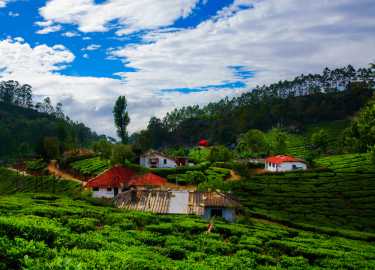 Kerala is a Land of Wonders 7 Days & 6 Nights